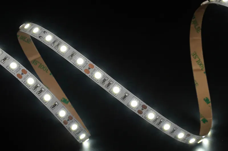 5050 60LEDS/M 12 V 10 mm