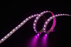 5050+2835 168LEDS/M RGB+W 24 V 12 mm