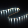 2835 120LEDS/M CCT 12V 5 mm