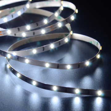 LM3014-WN60-24V-5MM