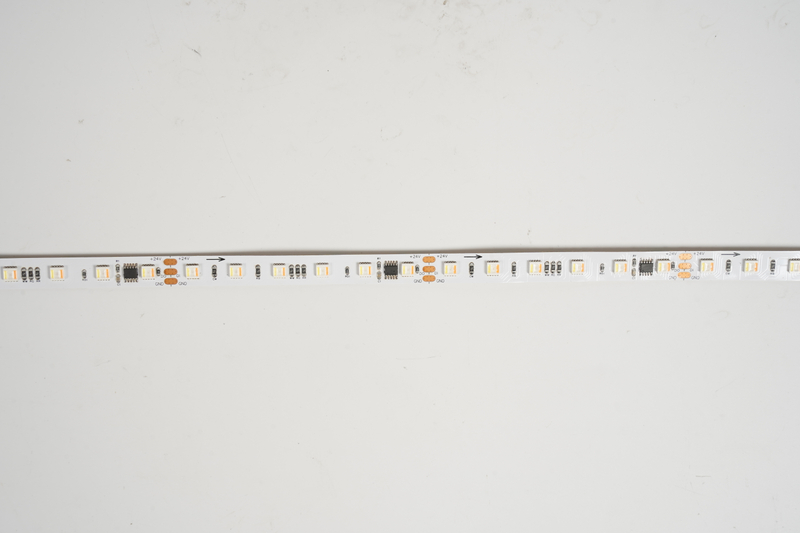 5050 60leds/m RGBCW 1906IC 24V 12MM