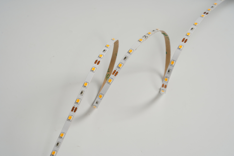 LM2835-WN60-12V-5MM
