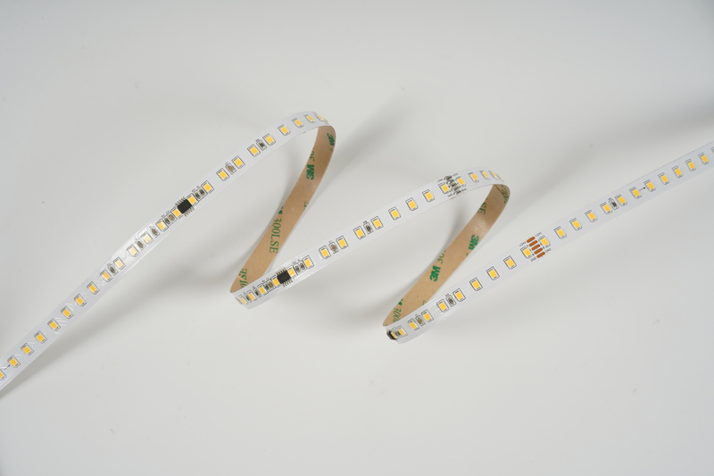 LM2835-WN120-512IC-24V-10MM