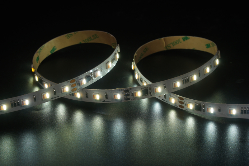 5050 60leds/m RGBCW 1906IC 24V 12MM